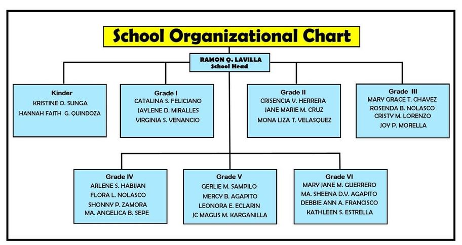 School Organizational Chart And Its Function
